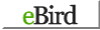 eBird